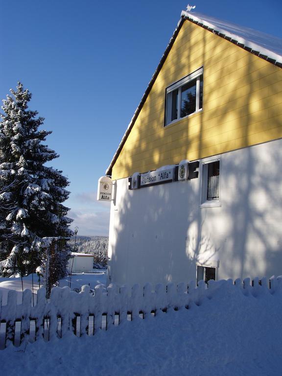 Pension Alfa Sankt Andreasberg Exterior photo