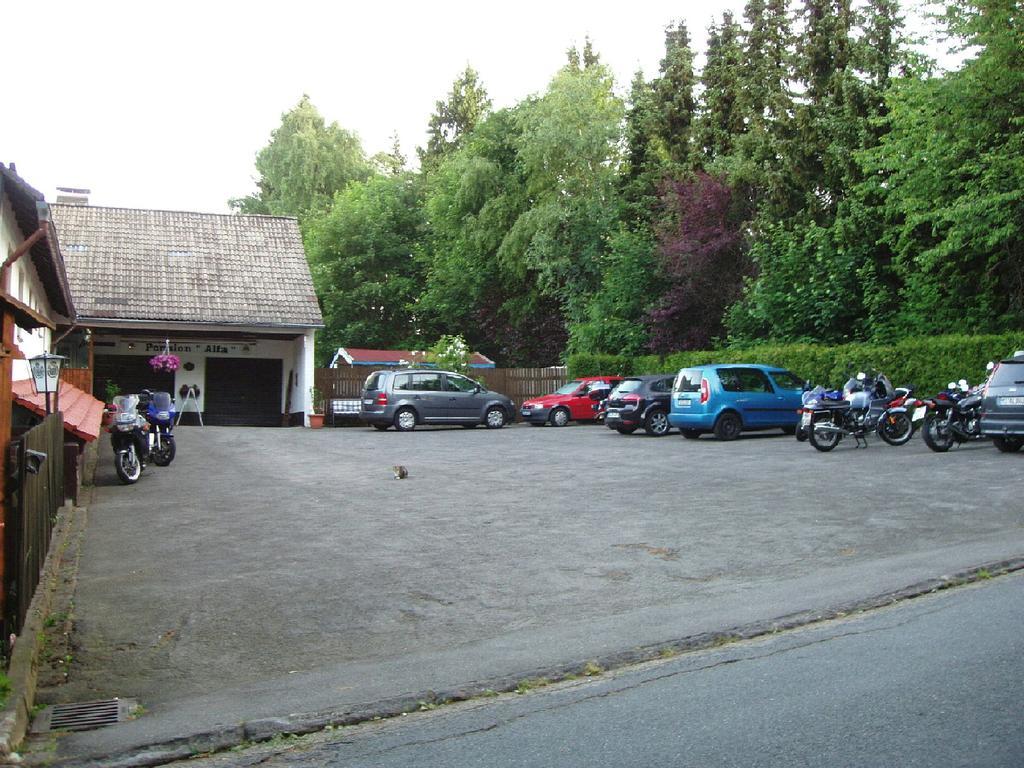Pension Alfa Sankt Andreasberg Exterior photo